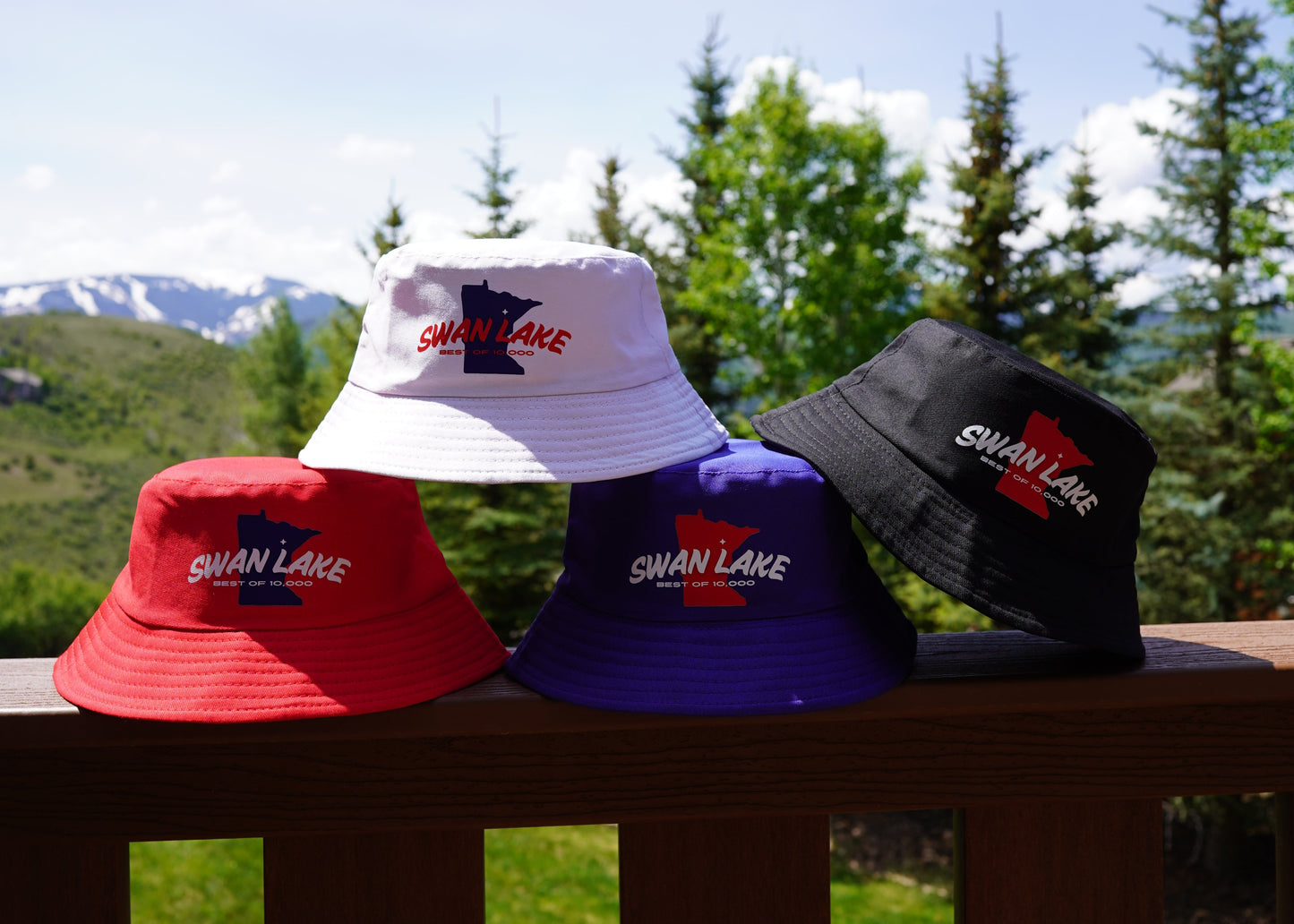 Swan Lake "Best of 10,000"