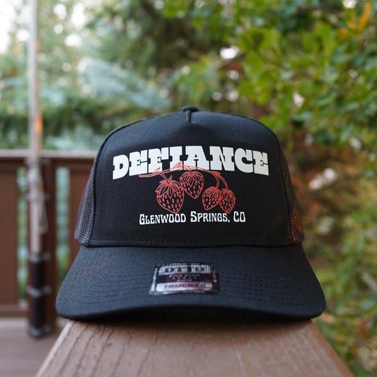 Glenwood springs colorado hat. strawberry days glenwood springs. cute hat. colorado souvenir. vintage hat.