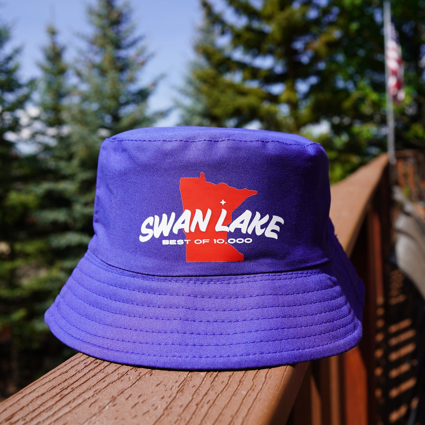 Swan Lake "Best of 10,000"