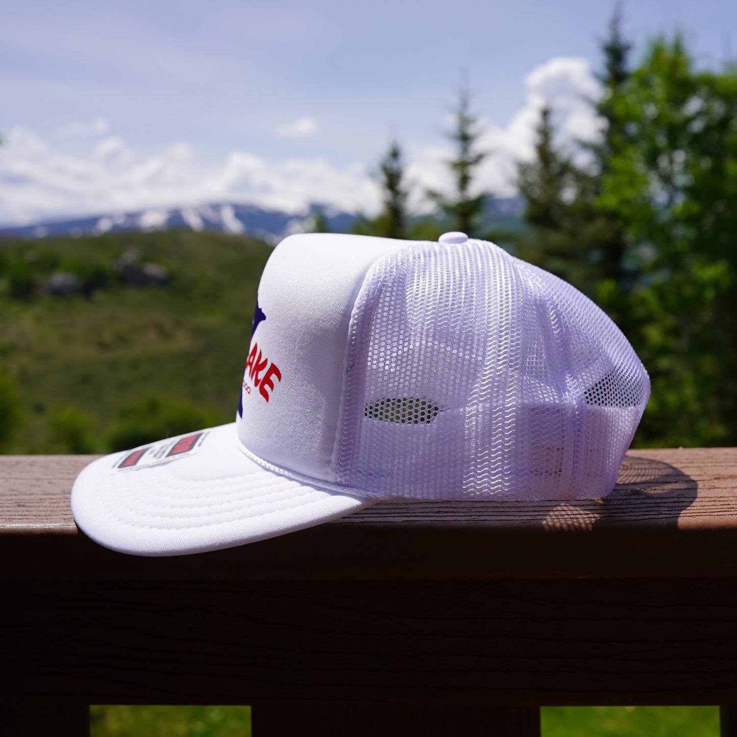 Swan Lake "Best of 10,000"