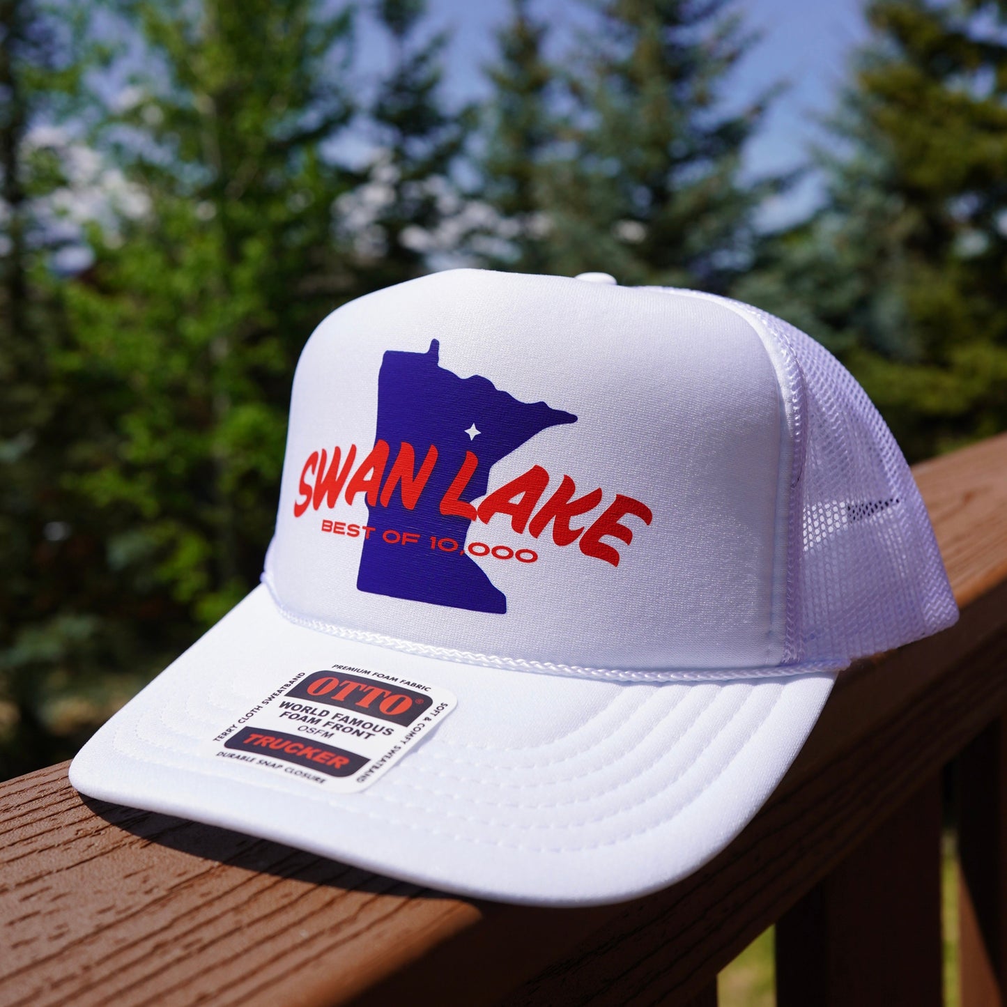 Swan Lake "Best of 10,000"