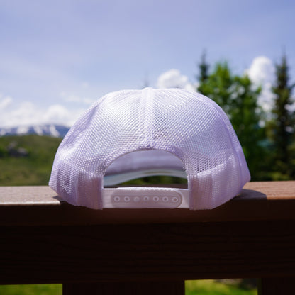 Swan Lake "Best of 10,000"