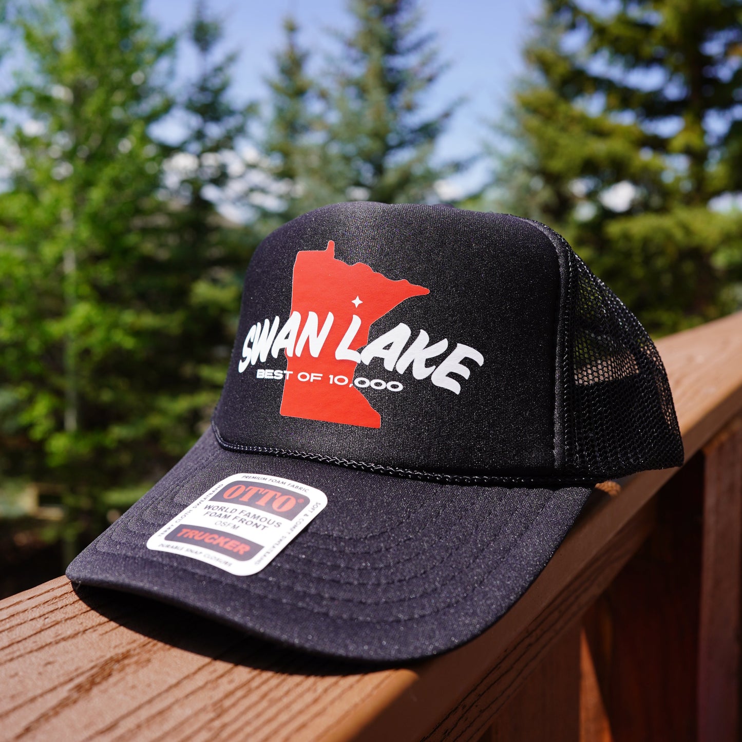 Swan Lake "Best of 10,000"