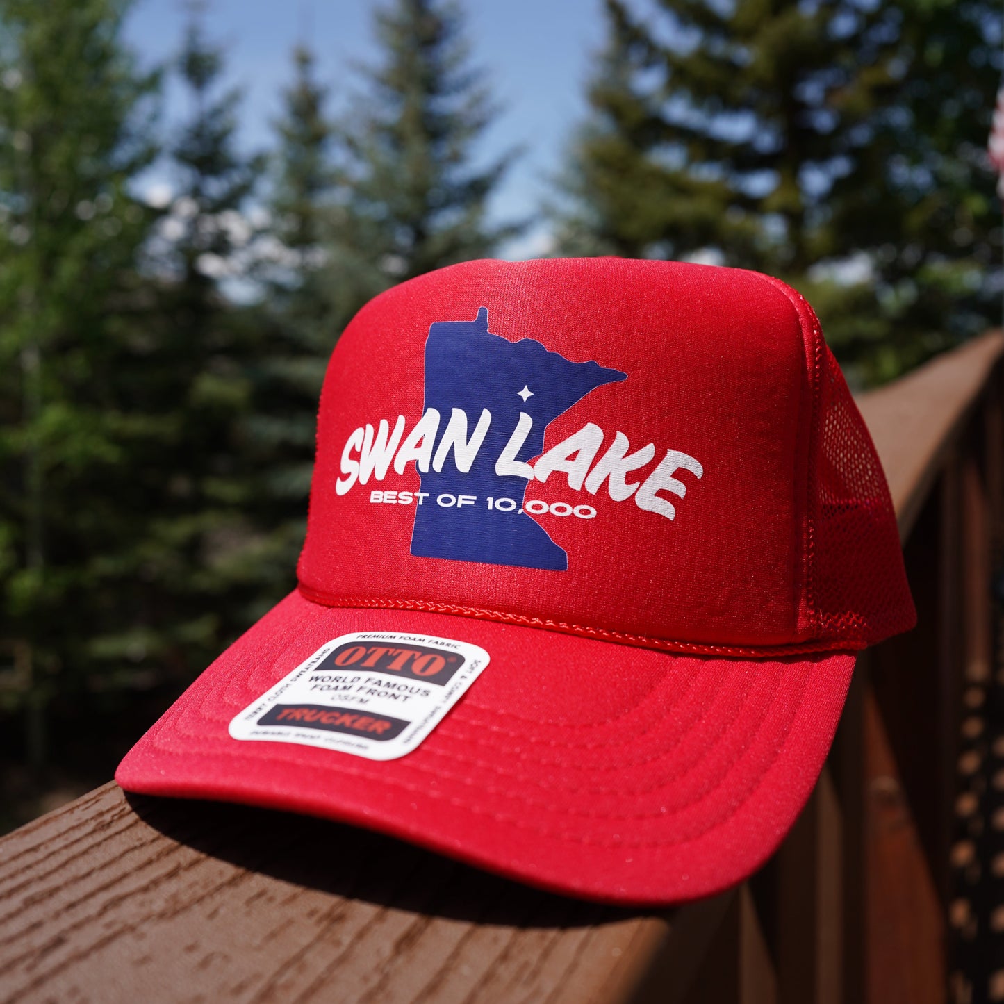 Swan Lake "Best of 10,000"