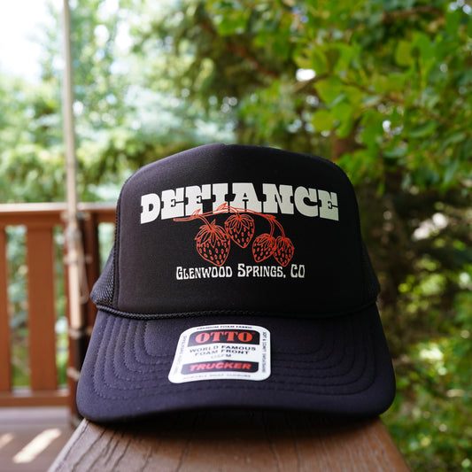 Glenwood springs colorado hat. strawberry days glenwood springs. cute hat. colorado souvenir. vintage hat.