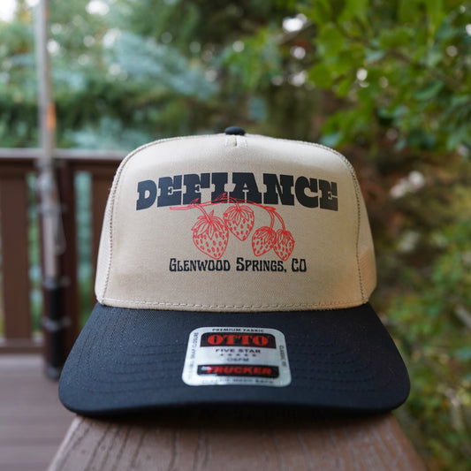 Glenwood springs colorado hat. strawberry days glenwood springs. cute hat. colorado souvenir. vintage hat.